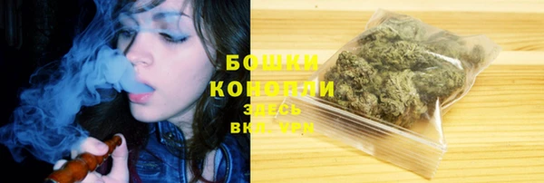 мдпв Лагань