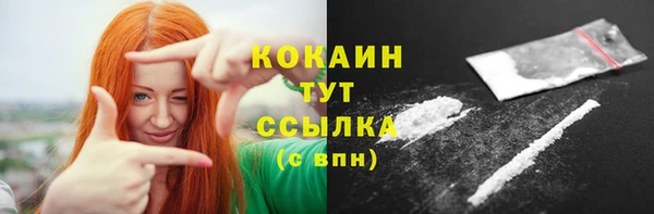 мдпв Лагань