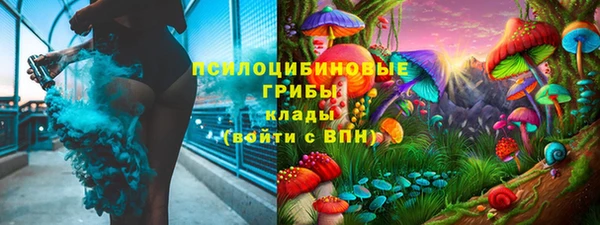 мдпв Лагань