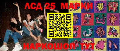 крисы Будённовск