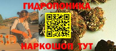 крисы Будённовск