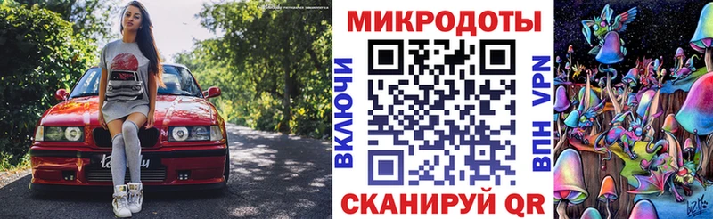 Галлюциногенные грибы Psilocybine cubensis Шатура