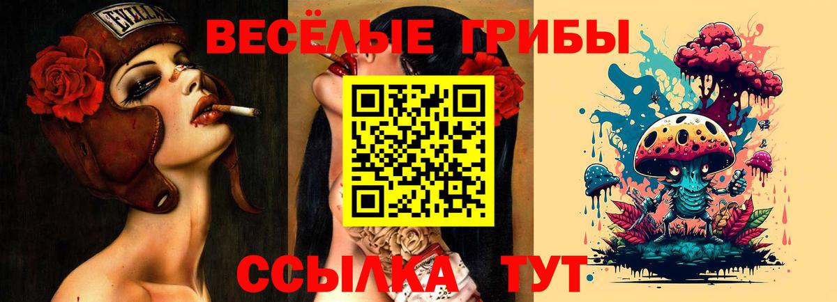 Шатура  Галлюциногенные грибы прущие грибы  Вход с VPN 