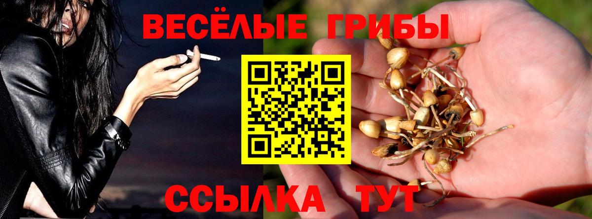 Галлюциногенные грибы Cubensis Шатура