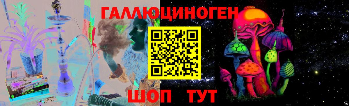 Псилоцибиновые грибы ЛСД  что такое   Шатура  Псилоцибиновые грибы мицелий 