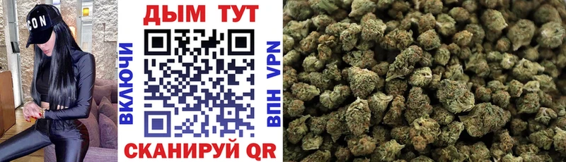 площадка состав  omg как войти  Шатура  МАРИХУАНА OG Kush 